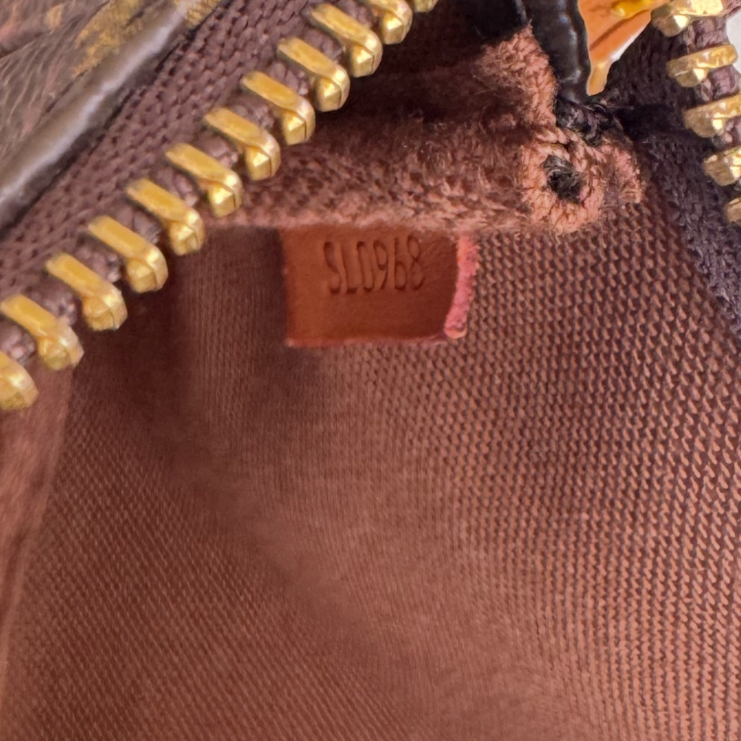 Louis Vuitton Pochette Accessoires Bag