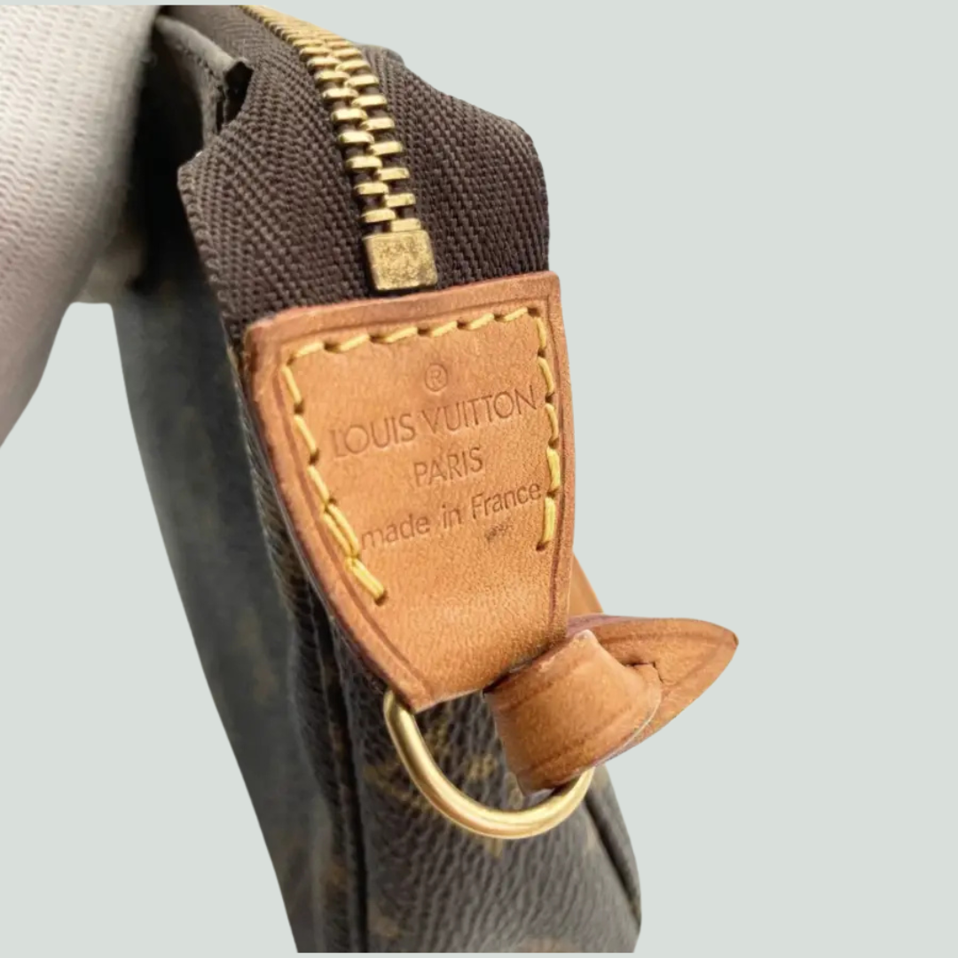 Louis Vuitton Pochette Accessoires Bag